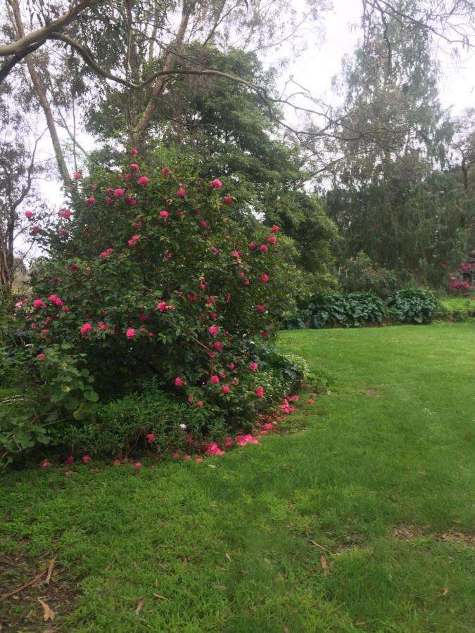 Sherwood Park Bed And Breakfast Somerville Eksteriør bilde