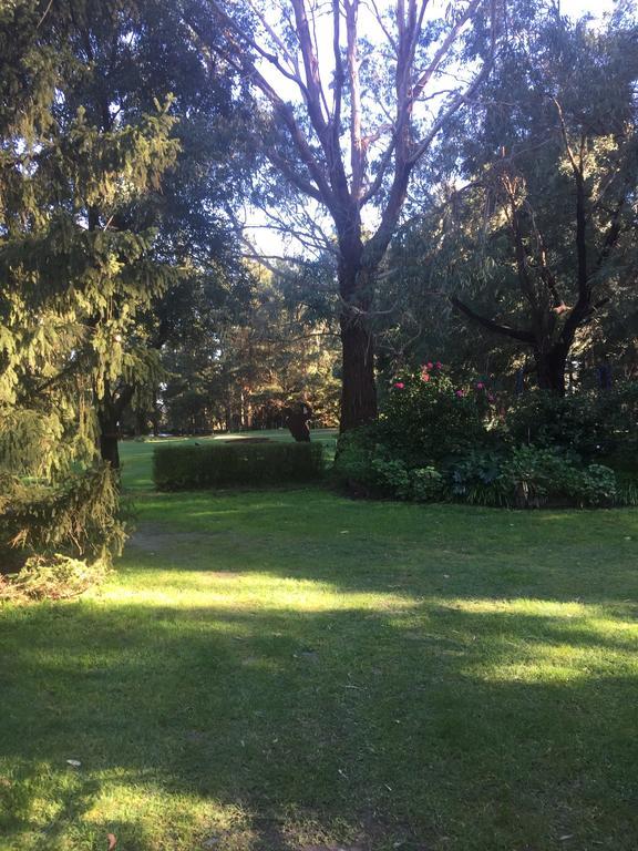 Sherwood Park Bed And Breakfast Somerville Eksteriør bilde