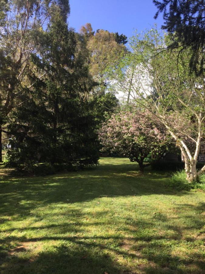 Sherwood Park Bed And Breakfast Somerville Eksteriør bilde